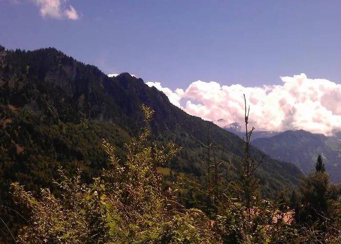 Kaech Lejlighed Habkern